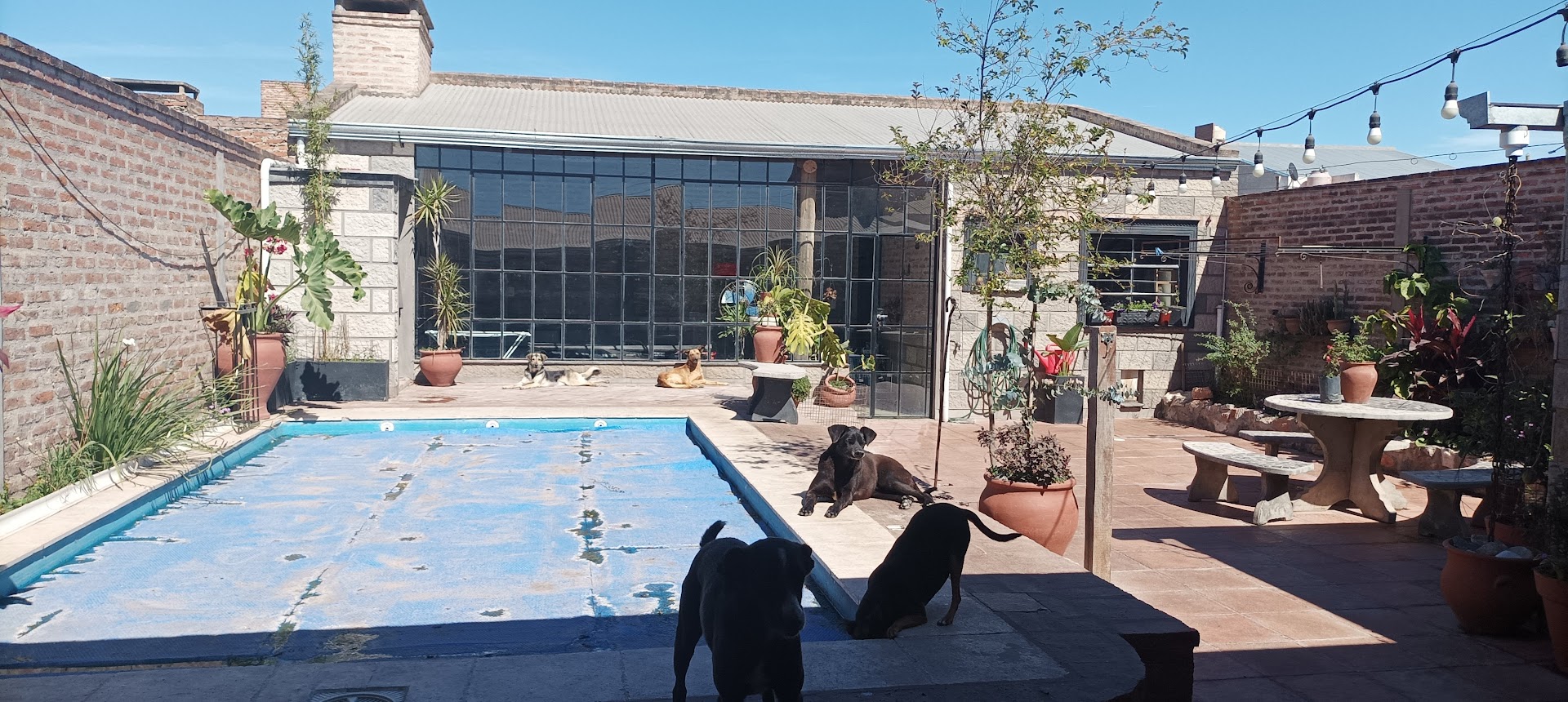 patio-11