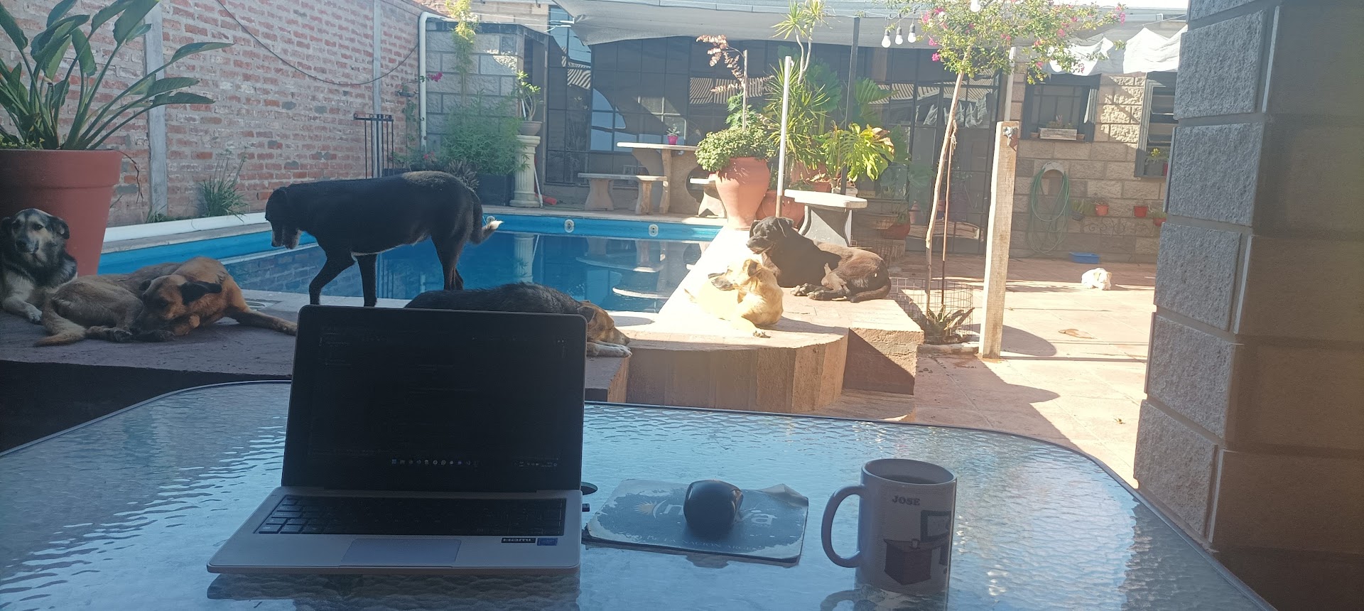 patio-12