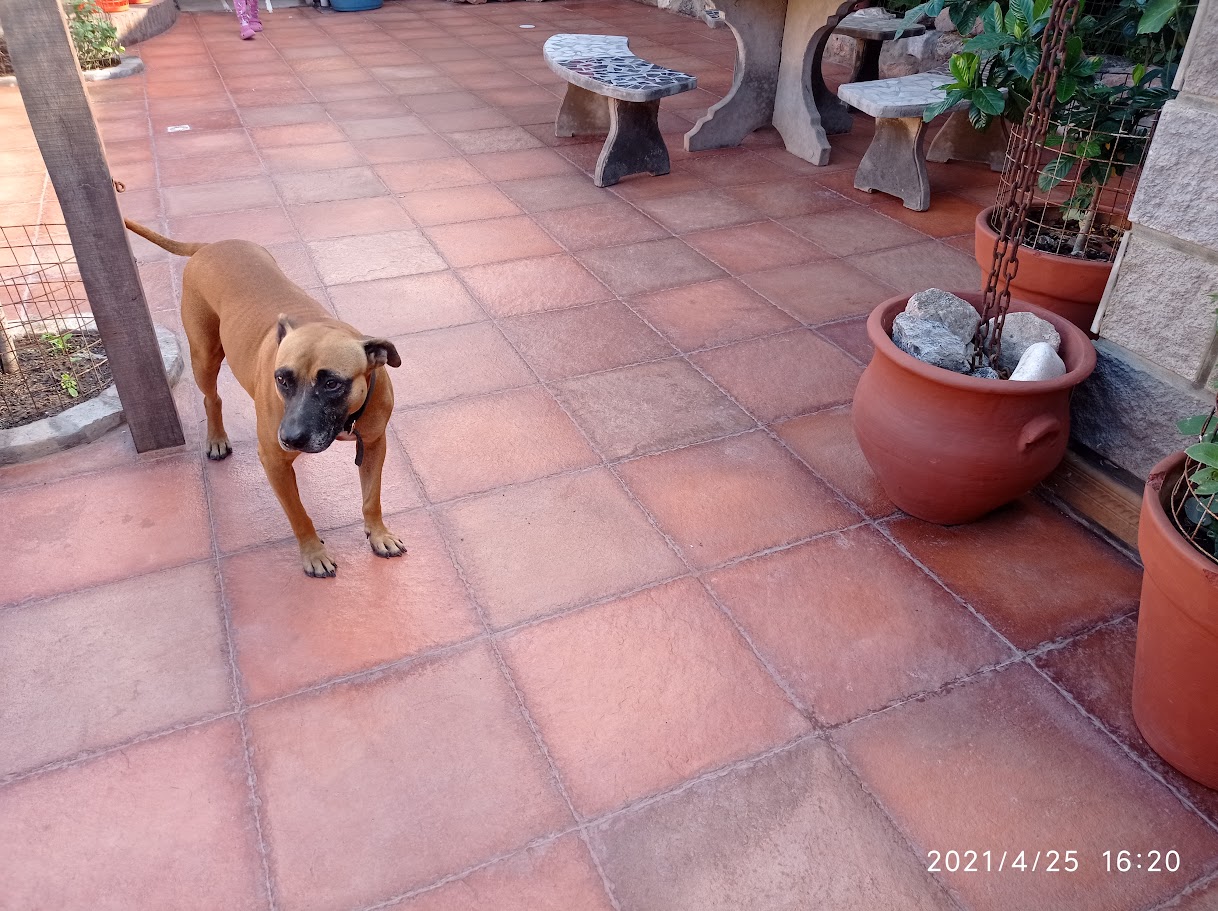 patio-3