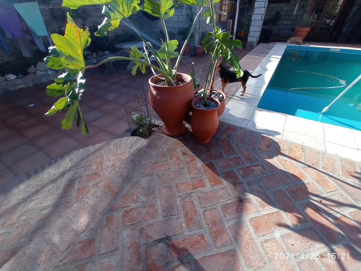 patio-5